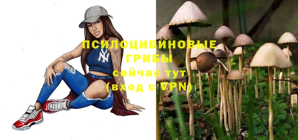 a pvp Беломорск