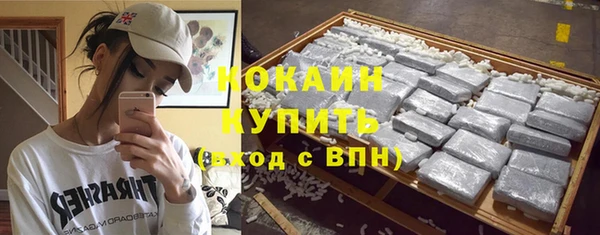 стаф Белоозёрский